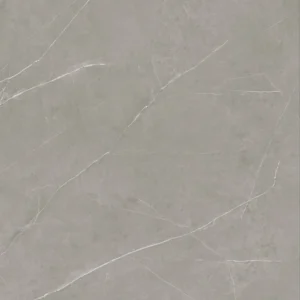 Commercial vinyl plank flooring (SPC) in Basalt Gray Commercial LVT Flooring (SPC Tile)